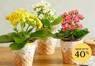 Header navigation sub menu